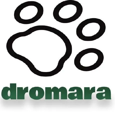 dromara avatar